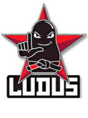 Логотип компании LUDUS BJJ