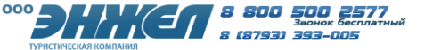 Логотип компании Энжел