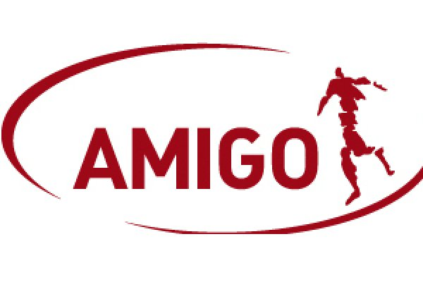 Логотип компании AMIGO GROUP-KMV